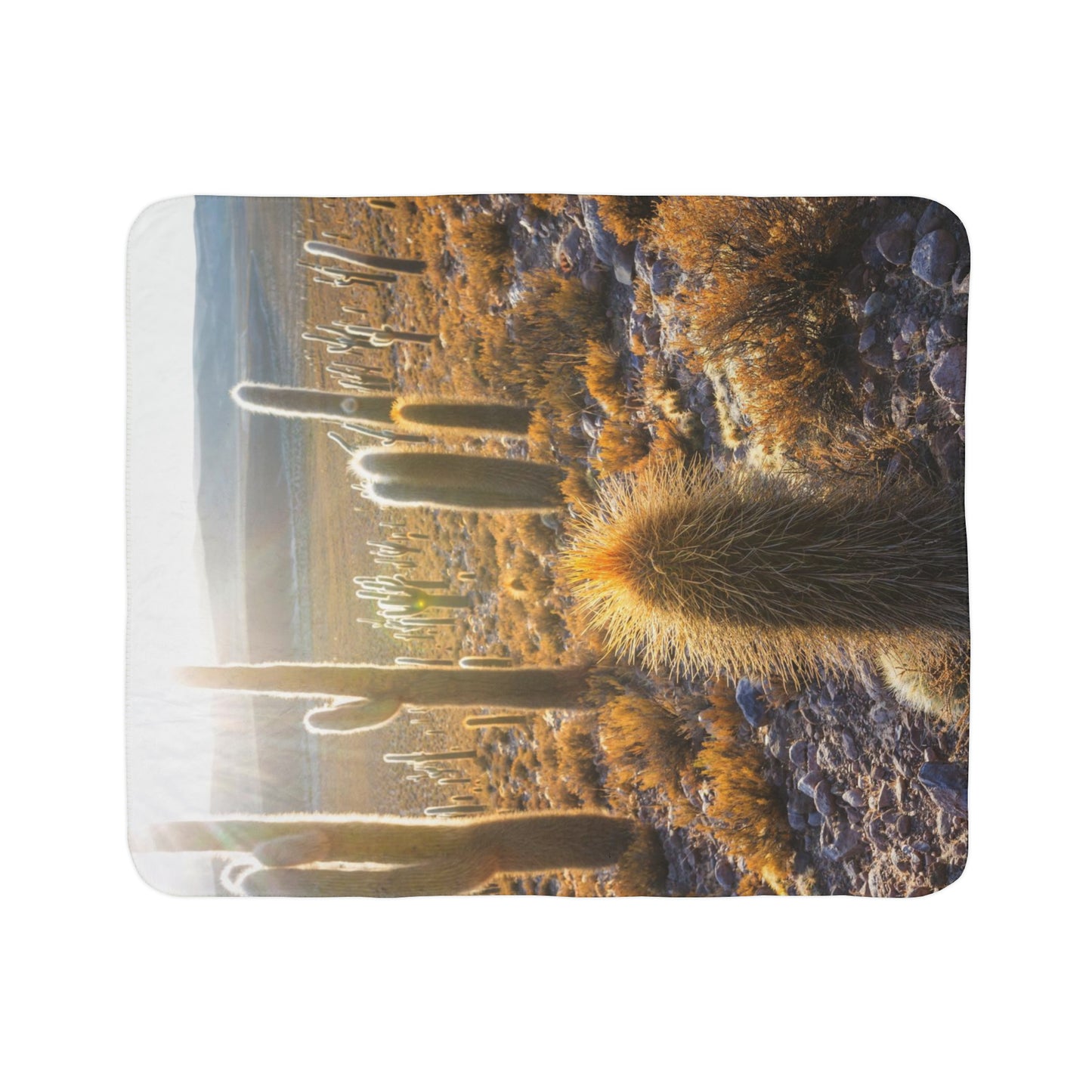Fleece Sherpa Blanket