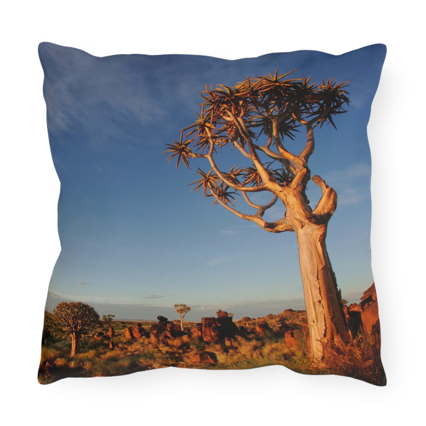 Outdoor Pillows